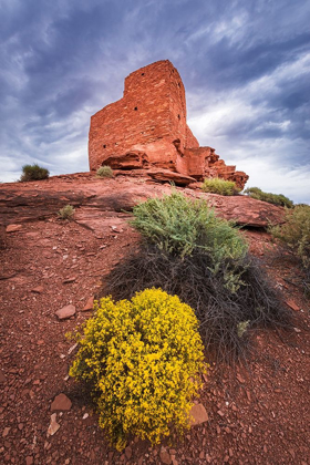 Picture of EVENING LIGHT ON WUKOKI RUIN-WUPATKI NATIONAL MONUMENT-ARIZONA