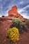 Picture of EVENING LIGHT ON WUKOKI RUIN-WUPATKI NATIONAL MONUMENT-ARIZONA