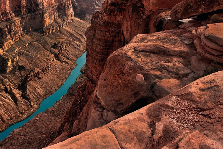 Picture of COLORADO RIVER MEANDERS THROUGH THE GRAND CANYON BELOW TOROWEAP OVERLOOK