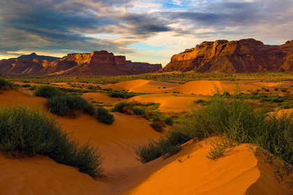 Picture of LUKACHUKAI DESERT SAND DUNES IN NORTHERN ARIZONA