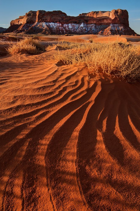 Picture of LUKASHENKA DESERT SAND DUNES IN NORTHERN ARIZONA