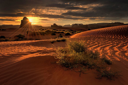 Picture of LUKASHENKA DESERT SAND DUNES IN NORTHERN ARIZONA