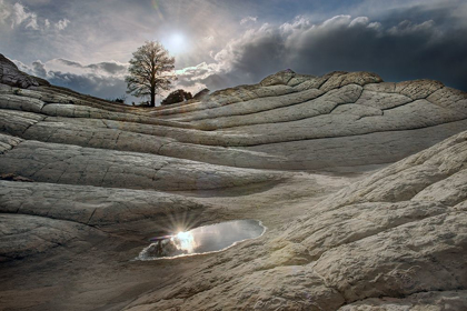 Picture of A POOL REFLECTS IN FOLDS OF BRAIN ROCK IN WHITE POCKETS IN NORTHERN ARIZONA