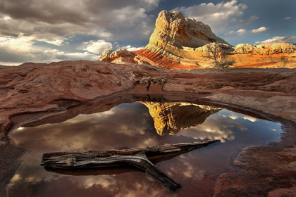 Picture of A LOG IN A POOL REFLECT WHITE POCKETS AREA IN NORTHERN ARIZONA