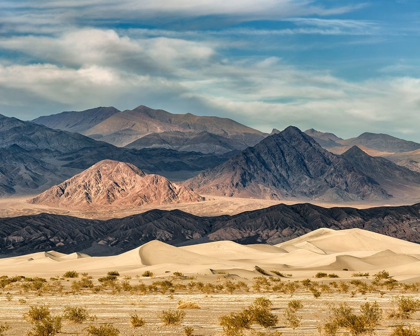 Picture of CALIFORNIA-DEATH VALLEY NATIONAL PARK-STOVEPIPE WELLS-MESQUITE FLAT DUNES