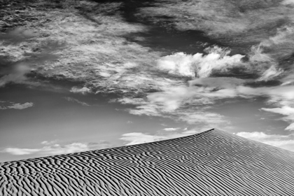 Picture of CALIFORNIA-DEATH VALLEY NATIONAL PARK-EARLY MORNING ON THE MESQUITE FLAT DUNES