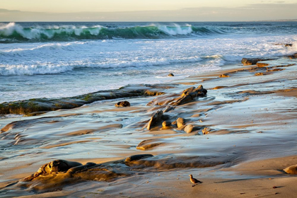 Picture of CALIFORNIA-LA JOLLA-SURF BREAKING OFF COAST BLVD PARK