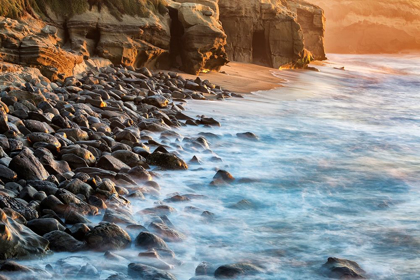 Picture of CALIFORNIA-LA JOLLA-BOOMER BEACH SHORELINE