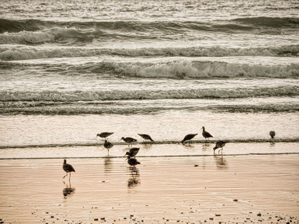 Picture of MORRO BAY SHORE