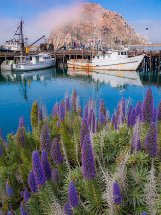 Picture of BOAT DOCKS ON MORRO BAY-CALIFORNIA-USA