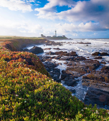 Picture of PIGEON POINT LIGHTHOUSE-BIG SUR-CALIFORNIA-USA