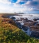 Picture of PIGEON POINT LIGHTHOUSE-BIG SUR-CALIFORNIA-USA