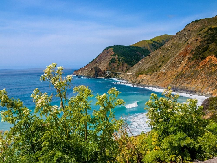 Picture of BIG SUR COASTAL CLIFFS-CALIFORNIA-USA