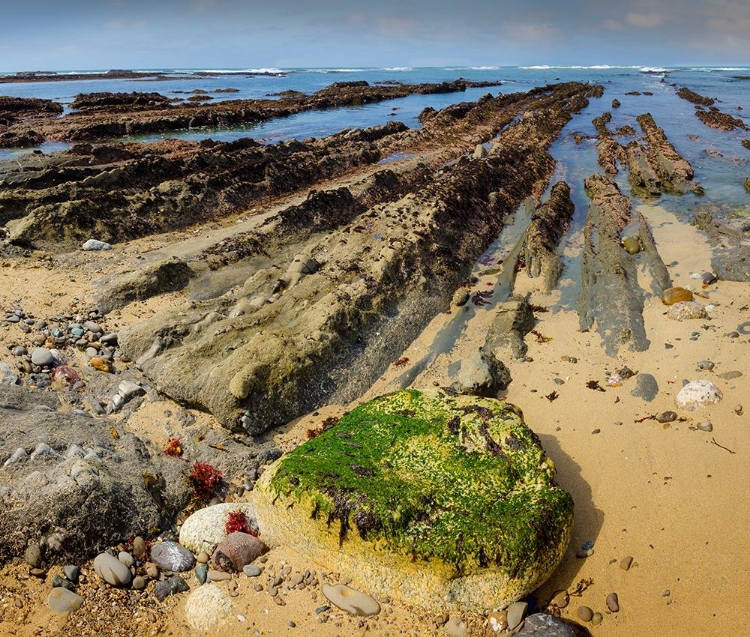 Picture of GEOLOGICAL ROCK FORMATIONS-FITZGERALD MARINE RESERVE-CALIFORNIA-USA