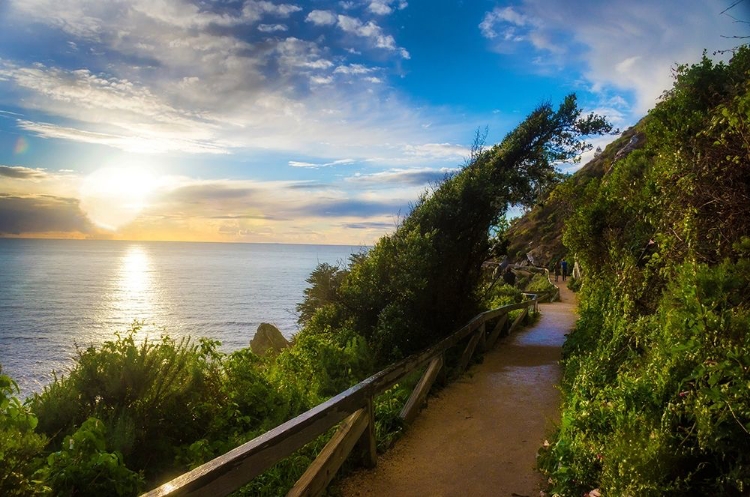 Picture of SUNSET-JULIA PFEIFFER BURNS STATE PARK-BIG SUR-CALIFORNIA-USA