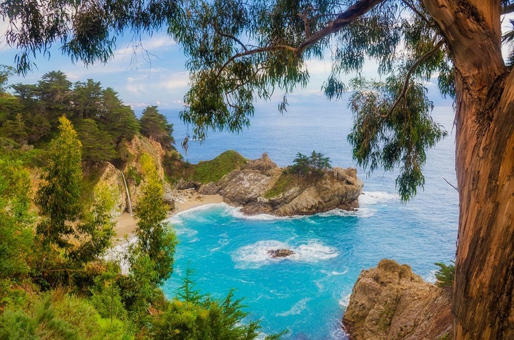 Picture of MCWAY FALLS-JULIA PFEIFFER BURNS STATE PARK-BIG SUR-CALIFORNIA-USA