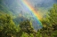 Picture of RAINBOW IN ANDREW MOLERA STATE PARK-CALIFORNIA-USA