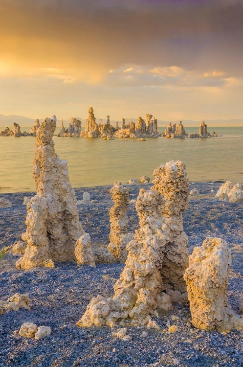 Picture of TUFAS ON MONO LAKE-EASTERN SIERRAS-CALIFORNIA-USA