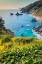 Picture of BIG SUR AREA-CALIFORNIA-USA