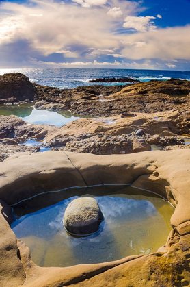 Picture of TIDEPOOL-POINT LOBOS STATE NATURAL RESERVE-CALIFORNIA-USA