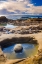 Picture of TIDEPOOL-POINT LOBOS STATE NATURAL RESERVE-CALIFORNIA-USA