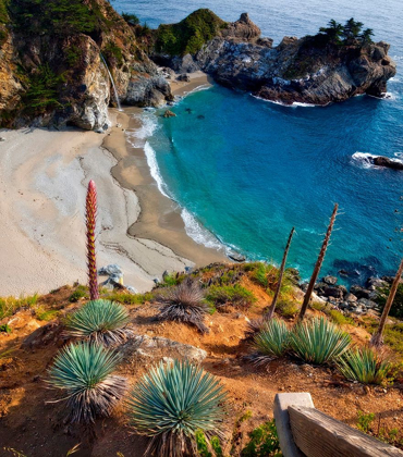 Picture of MCWAY FALLS-JULIA PFEIFFER BURNS STATE PARK-BIG SUR-CALIFORNIA-USA