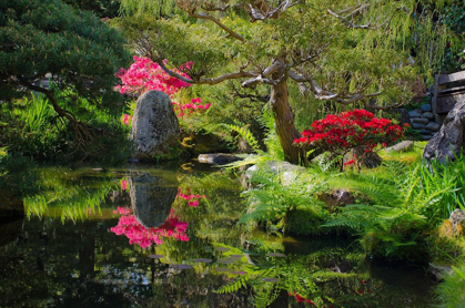 Picture of JAPANESE TEA GARDEN-GOLDEN GATE PARK-SAN FRANCISCO-CALIFORNIA-USA