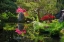 Picture of JAPANESE TEA GARDEN-GOLDEN GATE PARK-SAN FRANCISCO-CALIFORNIA-USA