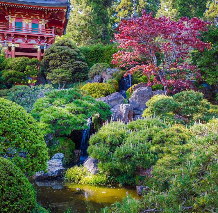 Picture of PAGODA-JAPANESE TEA GARDEN-GOLDEN GATE PARK-SAN FRANCISCO-CALIFORNIA-USA