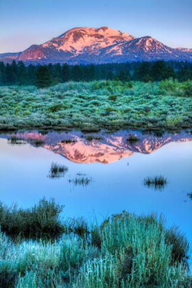 Picture of CALIFORNIA-SIERRA NEVADA RANGE MAMMOTH MOUNTAIN REFLECTS IN MAMMOTH CREEK