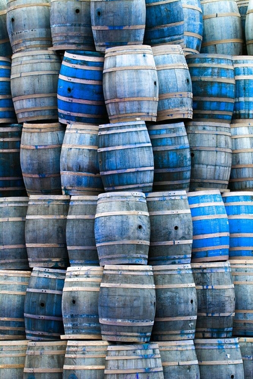 Picture of CALIFORNIA SAN LUIS OBISPO STACKED WINE BARRELS