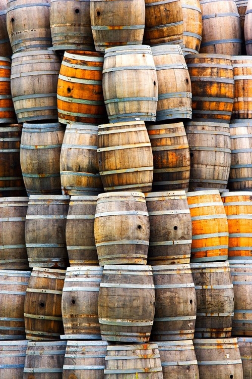 Picture of CALIFORNIA SAN LUIS OBISPO STACKED WINE BARRELS