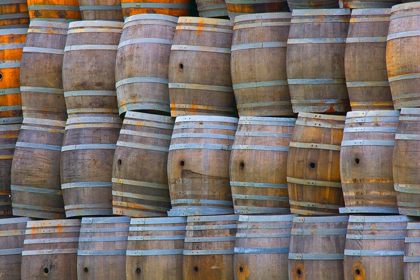 Picture of CALIFORNIA SAN LUIS OBISPO STACKED WINE BARRELS