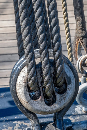 Picture of TARRED NAUTICAL ROPE AND PULLEY-SAN FRANCISCO-CALIFORNIA-USA