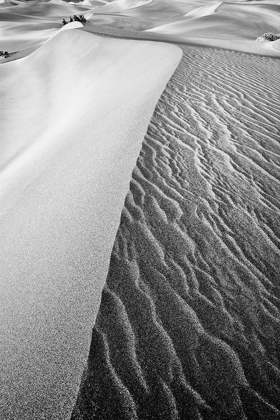 Picture of DUNE ABSTRACT-DEATH VALLEY