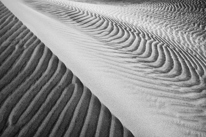 Picture of DUNE ABSTRACT-DEATH VALLEY