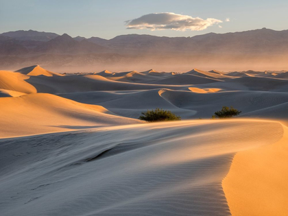 Picture of CALIFORNIA DEATH VALLEY NATIONAL PARK-MESQUITE FLAT SAND DUNES