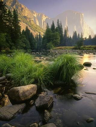 Picture of MERCED RIVER FLOWS THROUGH YOSEMITE NATIONAL PARK IN CALIFORNIA