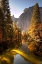 Picture of MERCED RIVER FLOWS THROUGH CALIFORNIAS YOSEMITE NATIONAL PARK