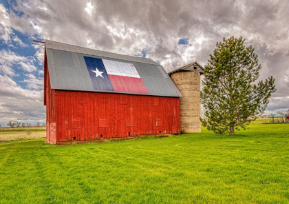 Picture of COLORADO-LARIMER COUNTY RED IN FARM FIELD 