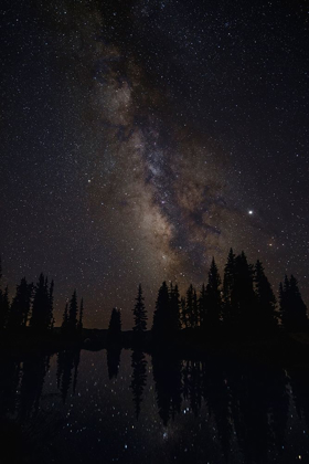 Picture of COLORADO-GUNNISON NATIONAL FOREST MILKY WAY ABOVE FOREST AND LAKE 