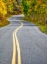 Picture of COLORADO CURVED ROADWAY NEAR ASPEN-COLORADO IN AUTUMN COLORS AND ASPENS GROVES