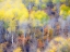 Picture of COLORADO-SAN JUAN MTS YELLOW AND ORANGE FALL ASPENS IN GUNNISON NATIONAL FOREST
