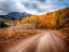 Picture of COLORADO-SAN JUAN MTS ROAD LEADING THROUGH AN ASPEN GROVE TOWARDS EAST BECKWITH MOUNTAIN