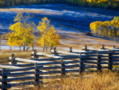 Picture of COLORADO-SAN JUAN MTS FENCE LINE AND ASPENS WITH FRESH SNOW IN THE FALL