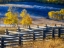 Picture of COLORADO-SAN JUAN MTS FENCE LINE AND ASPENS WITH FRESH SNOW IN THE FALL