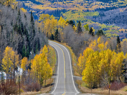 Picture of COLORADO AN EMPTY COLORADO HIGHWAY 145 IN MIDDAY SURROUNDED BY FALL COLOR NEAR TELLURIDE-COLORADO