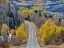 Picture of COLORADO AN EMPTY COLORADO HIGHWAY 145 IN MIDDAY SURROUNDED BY FALL COLOR NEAR TELLURIDE-COLORADO