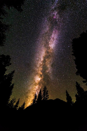 Picture of THE MILKY WAY OVER LIZARD HEAD PASS-UNCOMPAHGRE NATIONAL FOREST-COLORADO-USA