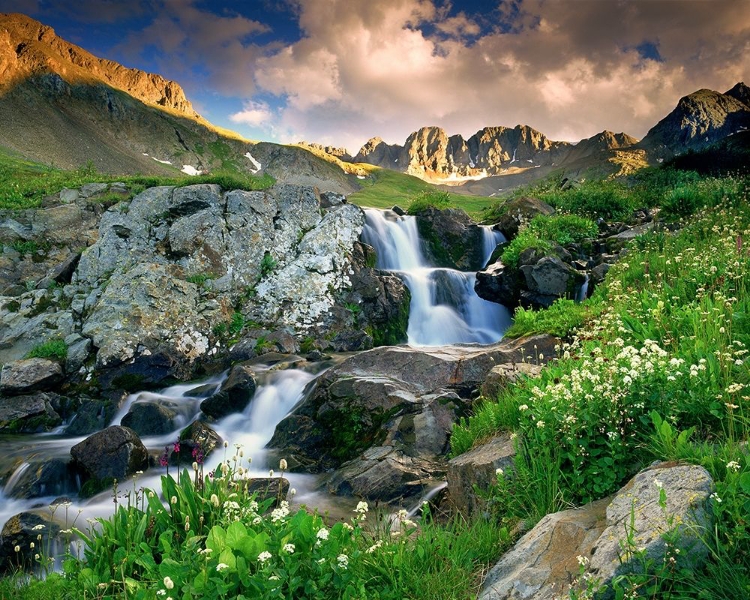 Picture of A SPRING CASCADE WITH WHITE WILDFLOWERS IN AMERICAN BASIN IN THE COLORADO ROCKY MOUNTAINS